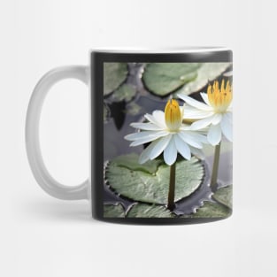 Beautiful Water Lily Mug